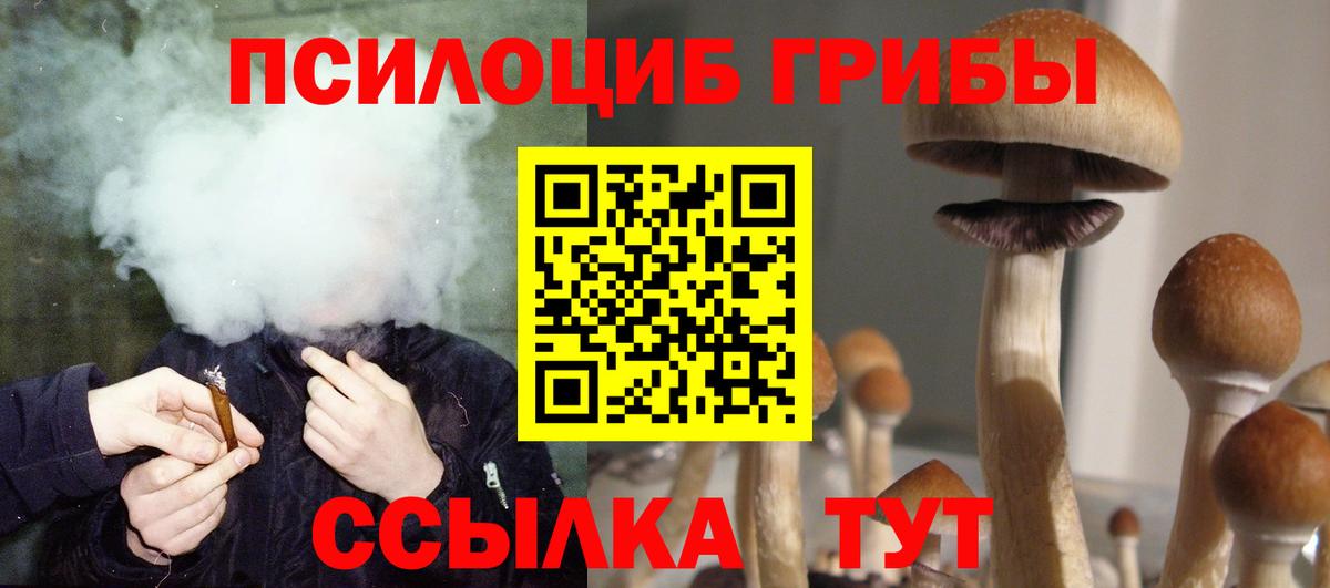 Галлюциногенные грибы Cubensis Звенигород