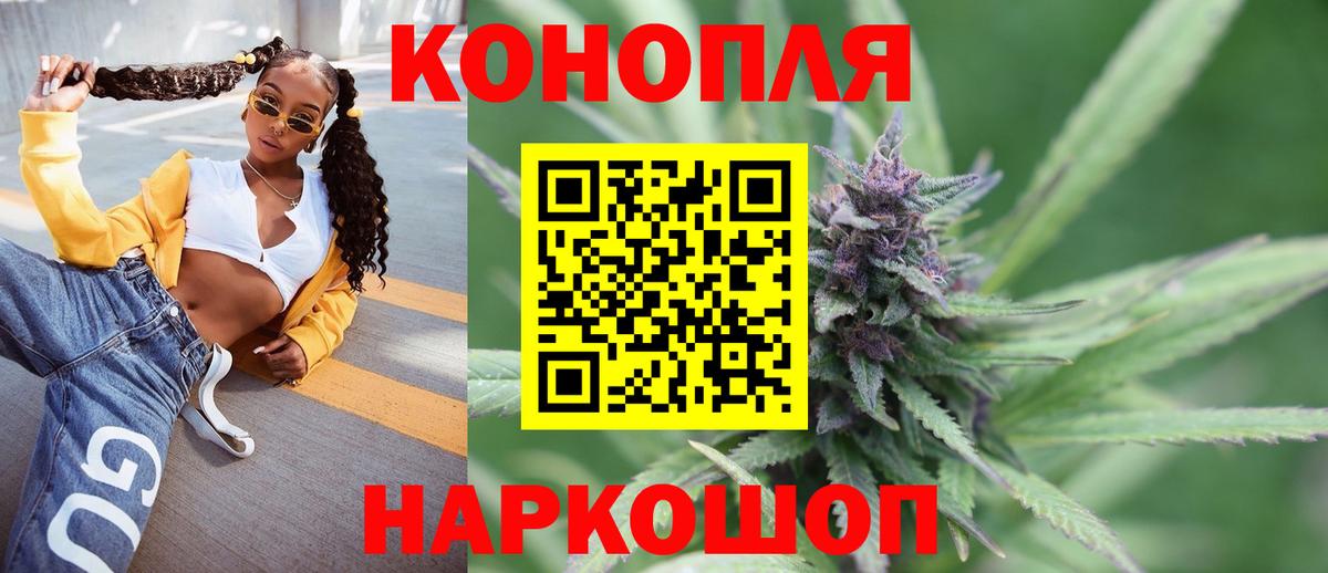 МЕФ Звенигород